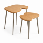 ORVENALI 2-Piece Nesting Side Table Set