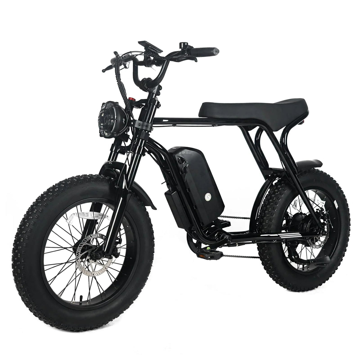 Electric Mountain Bike For Adults With 20 x 4.0 Fat Tires, 1000W Motor, 48V 20Ah Removable Battery, 45MPH Speed, 7-Speed