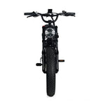 Electric Mountain Bike For Adults With 20 x 4.0 Fat Tires, 1000W Motor, 48V 20Ah Removable Battery, 45MPH Speed, 7-Speed