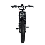 Electric Mountain Bike For Adults With 20 x 4.0 Fat Tires, 1000W Motor, 48V 20Ah Removable Battery, 45MPH Speed, 7-Speed