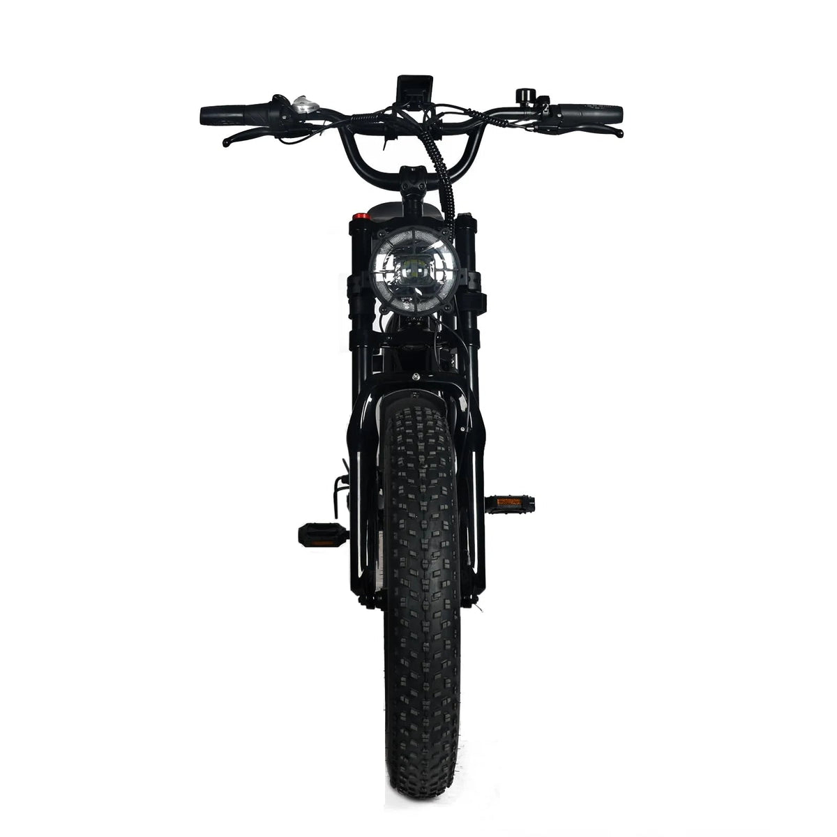 Electric Mountain Bike For Adults With 20 x 4.0 Fat Tires, 1000W Motor, 48V 20Ah Removable Battery, 45MPH Speed, 7-Speed