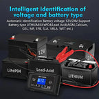 HTRC Smart Battery Charger For Lithium, LiFePO4 And Lead-Acid Batteries, 12V/25A, 24V/13A - P25