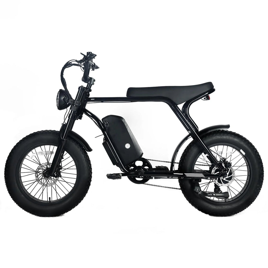Electric Mountain Bike For Adults With 20 x 4.0 Fat Tires, 1000W Motor, 48V 20Ah Removable Battery, 45MPH Speed, 7-Speed