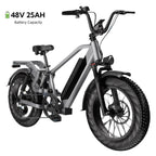 Adult Folding Electric Bike, 20in Fat Tire, 750W, 48V 25AH, 7 Speed, 20MPH - RS