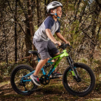 Huffy 20-inch Oxide Boys Mountain Bike, Lime / Blue