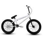 20-Inch & 16-Inch BMX Freestyle Bikes for Teens and Adults