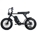 Electric Mountain Bike For Adults With 20 x 4.0 Fat Tires, 1000W Motor, 48V 20Ah Removable Battery, 45MPH Speed, 7-Speed