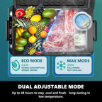 Simzlife Portable Car Refrigerator/Freezer, 19 QT (18 L), 12/24V DC and 110-240V AC, Black