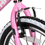 20-Inch/24-Inch Kids Mountain Bike, Single-Speed Bicycle