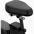 Folding Electric Bike 250W, 14 Inch, LCD Display, Removable Battery, Dual Disc Brake, Black